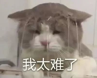 邦瑞货运联合安能物流,800-3000KG大票货,1吨比专线便宜100元(图1) 邦瑞货运联合安能物流,800-3000KG大票货,1吨比专线便宜100元(图1)